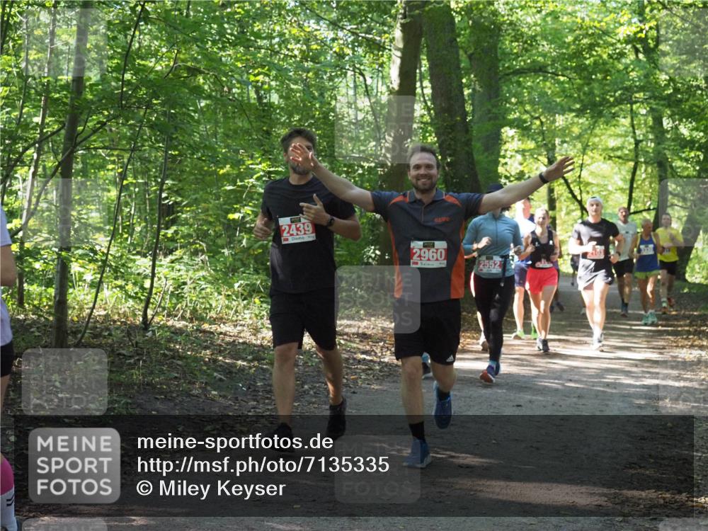 22.09.2024 - 32. Volkslauf durch das schöne Alstertal Miley Keyser http://msf.ph/oto/7135335 22.09.2024 10:48:19 Laufen 2439, 3, 2960 meine-sportfotos.de