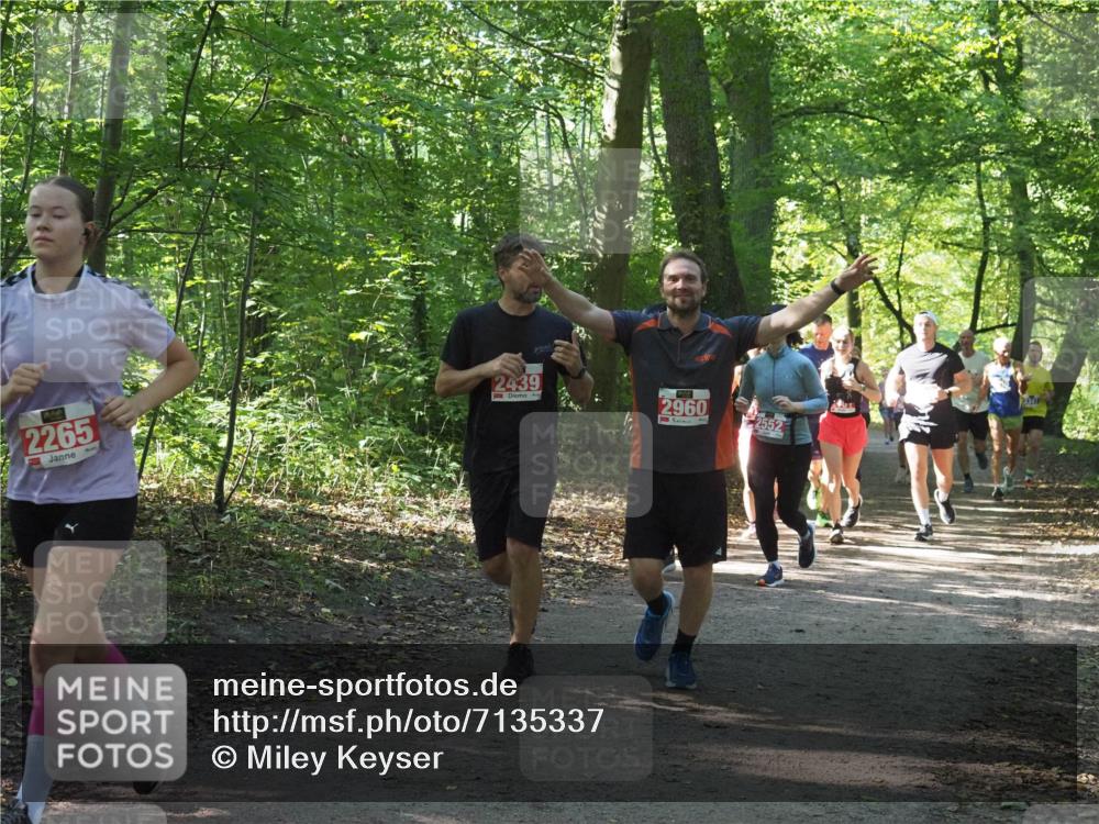 22.09.2024 - 32. Volkslauf durch das schöne Alstertal Miley Keyser http://msf.ph/oto/7135337 22.09.2024 10:48:19 Laufen 2265, 2439, 2960, 2552 meine-sportfotos.de