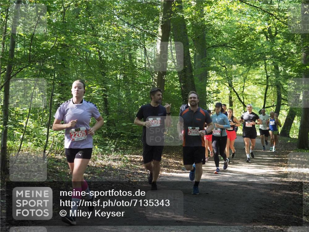 22.09.2024 - 32. Volkslauf durch das schöne Alstertal Miley Keyser http://msf.ph/oto/7135343 22.09.2024 10:48:18 Laufen 2103, 2265, 2439, 2960 meine-sportfotos.de
