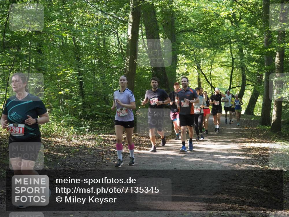 22.09.2024 - 32. Volkslauf durch das schöne Alstertal Miley Keyser http://msf.ph/oto/7135345 22.09.2024 10:48:17 Laufen 2391, 2439, 2960, 2265, 2552, 103 meine-sportfotos.de