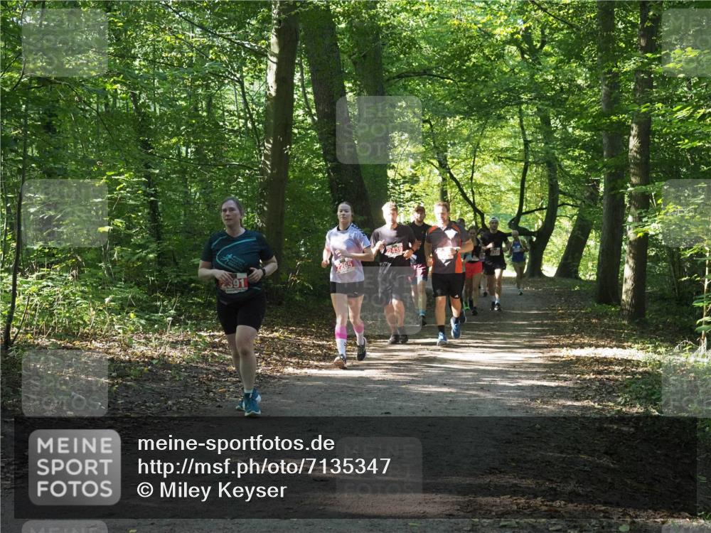 22.09.2024 - 32. Volkslauf durch das schöne Alstertal Miley Keyser http://msf.ph/oto/7135347 22.09.2024 10:48:15 Laufen 2439 meine-sportfotos.de