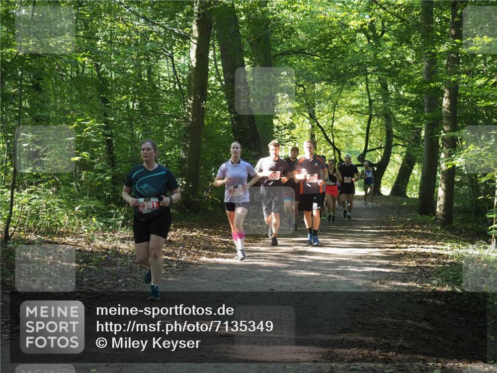 22.09.2024 - 32. Volkslauf durch das schöne Alstertal Miley Keyser http://msf.ph/oto/7135349 22.09.2024 10:48:15 Laufen 2391, 2265, 439, 210 meine-sportfotos.de