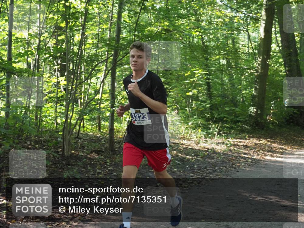 22.09.2024 - 32. Volkslauf durch das schöne Alstertal Miley Keyser http://msf.ph/oto/7135351 22.09.2024 10:48:09 Laufen 3323 meine-sportfotos.de