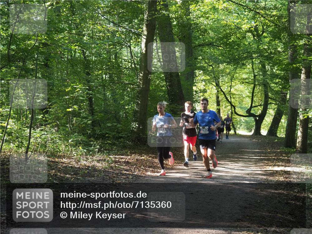 22.09.2024 - 32. Volkslauf durch das schöne Alstertal Miley Keyser http://msf.ph/oto/7135360 22.09.2024 10:48:06 Laufen 3282 meine-sportfotos.de