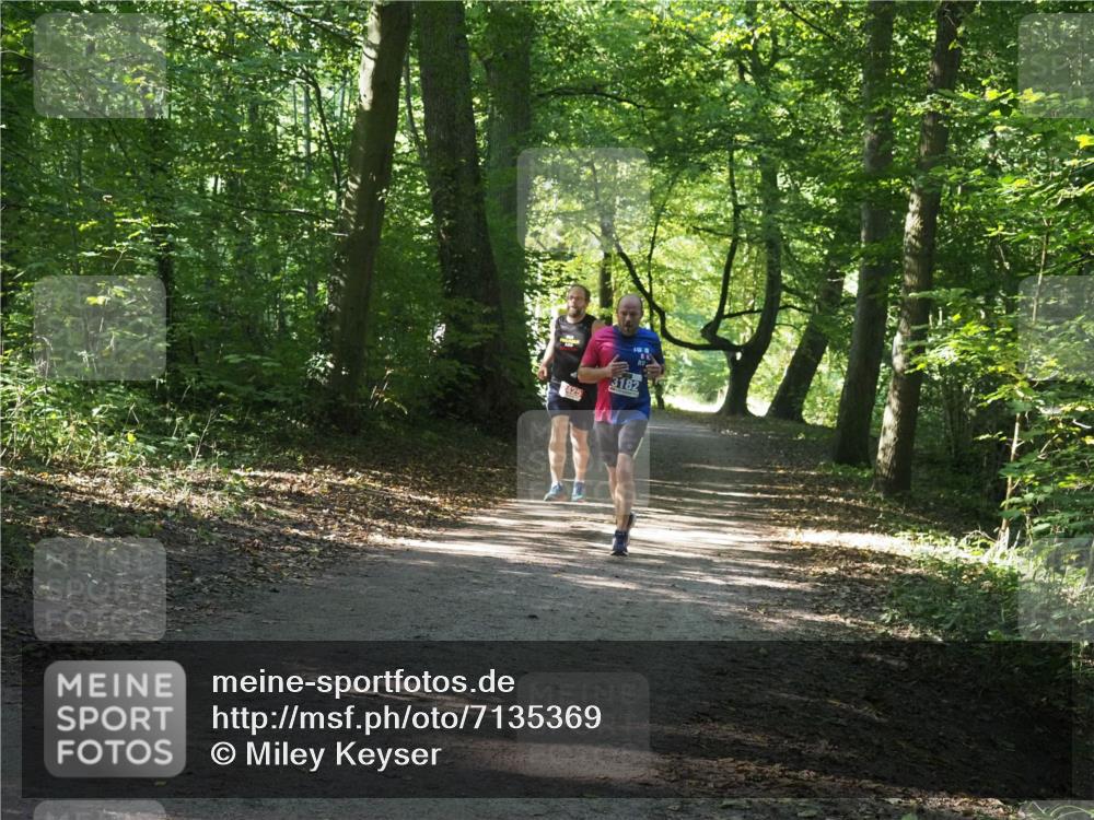 22.09.2024 - 32. Volkslauf durch das schöne Alstertal Miley Keyser http://msf.ph/oto/7135369 22.09.2024 10:47:57 Laufen 425, 182 meine-sportfotos.de