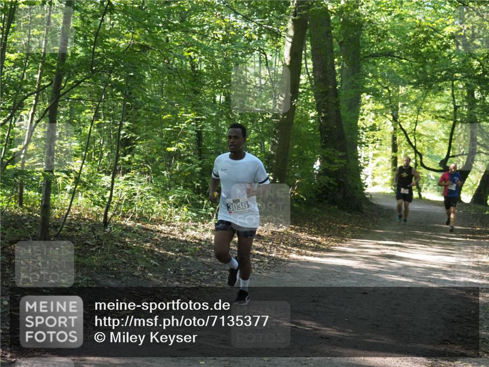 22.09.2024 - 32. Volkslauf durch das schöne Alstertal Miley Keyser http://msf.ph/oto/7135377 22.09.2024 10:47:54 Laufen 3036 meine-sportfotos.de
