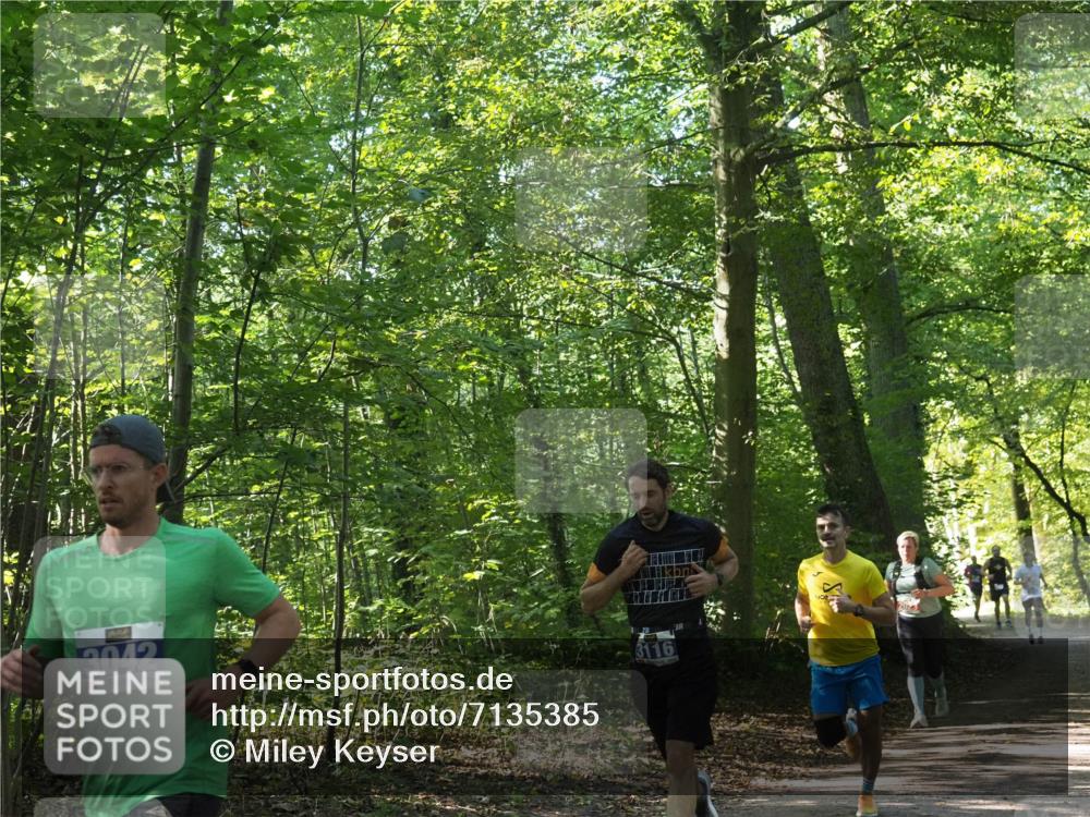 22.09.2024 - 32. Volkslauf durch das schöne Alstertal Miley Keyser http://msf.ph/oto/7135385 22.09.2024 10:47:46 Laufen 3042, 3116 meine-sportfotos.de