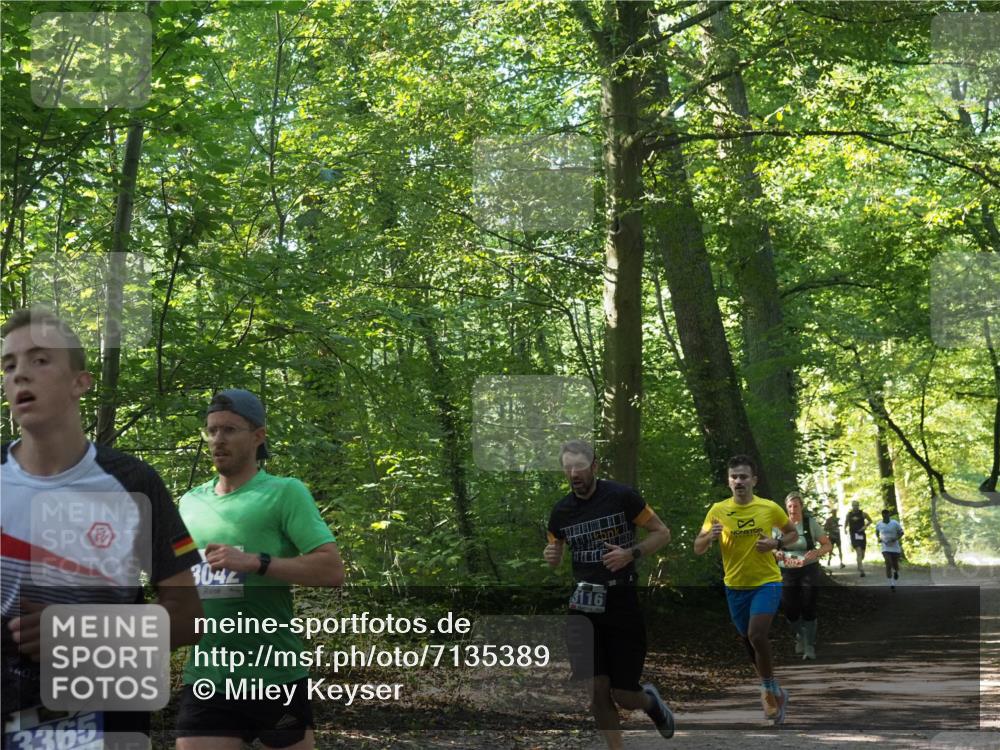 22.09.2024 - 32. Volkslauf durch das schöne Alstertal Miley Keyser http://msf.ph/oto/7135389 22.09.2024 10:47:46 Laufen 3365, 3044, 3116 meine-sportfotos.de