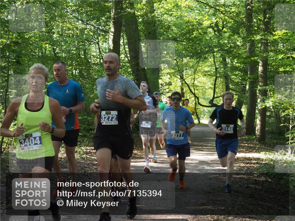 22.09.2024 - 32. Volkslauf durch das schöne Alstertal Miley Keyser http://msf.ph/oto/7135394 22.09.2024 10:47:44 Laufen 404, 3272, 3365, 3277, 3148 meine-sportfotos.de