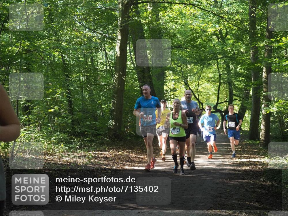 22.09.2024 - 32. Volkslauf durch das schöne Alstertal Miley Keyser http://msf.ph/oto/7135402 22.09.2024 10:47:42 Laufen 2512, 3404, 272 meine-sportfotos.de