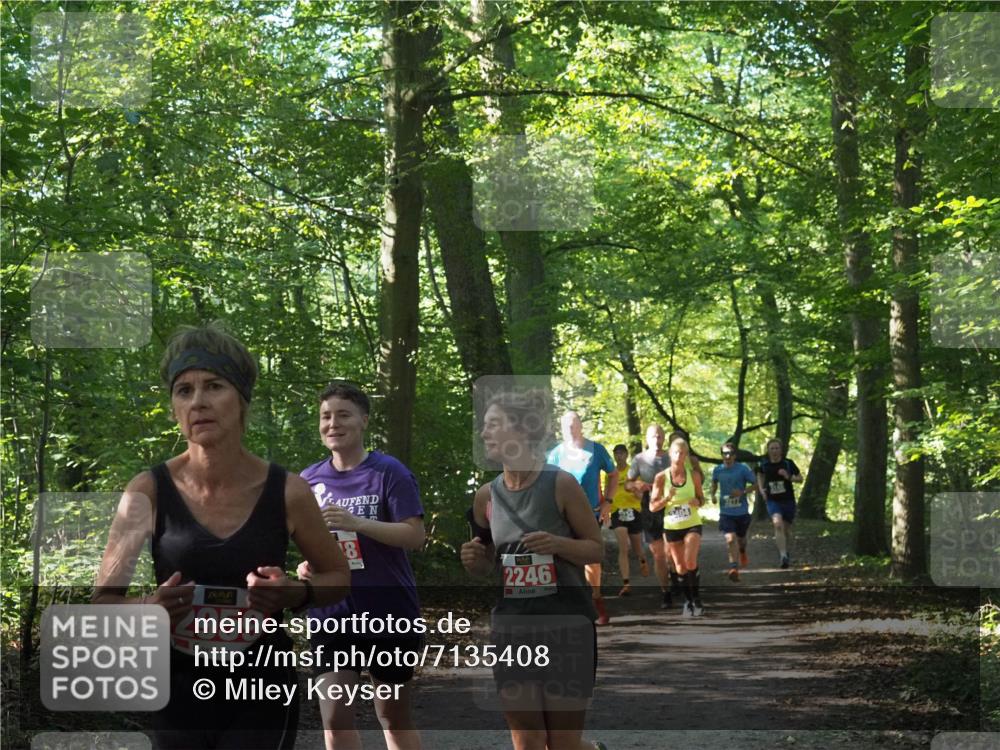 22.09.2024 - 32. Volkslauf durch das schöne Alstertal Miley Keyser http://msf.ph/oto/7135408 22.09.2024 10:47:41 Laufen 2959, 2246 meine-sportfotos.de