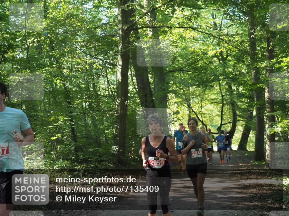 22.09.2024 - 32. Volkslauf durch das schöne Alstertal Miley Keyser http://msf.ph/oto/7135409 22.09.2024 10:47:39 Laufen 2246 meine-sportfotos.de