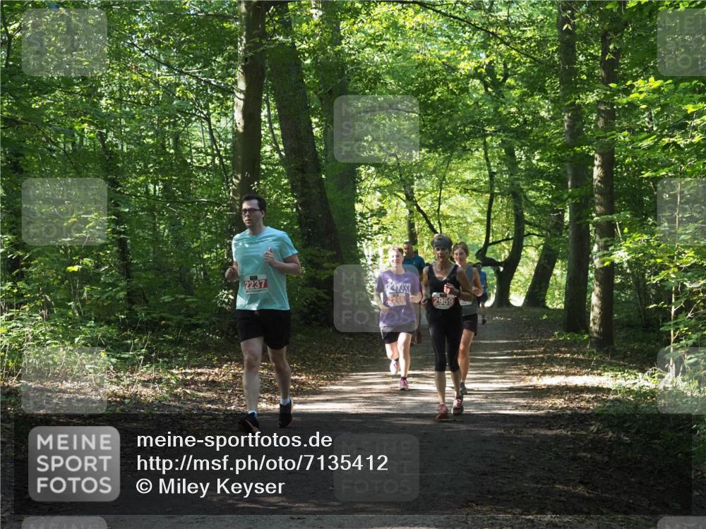 22.09.2024 - 32. Volkslauf durch das schöne Alstertal Miley Keyser http://msf.ph/oto/7135412 22.09.2024 10:47:37 Laufen 2237, 2248, 2959 meine-sportfotos.de