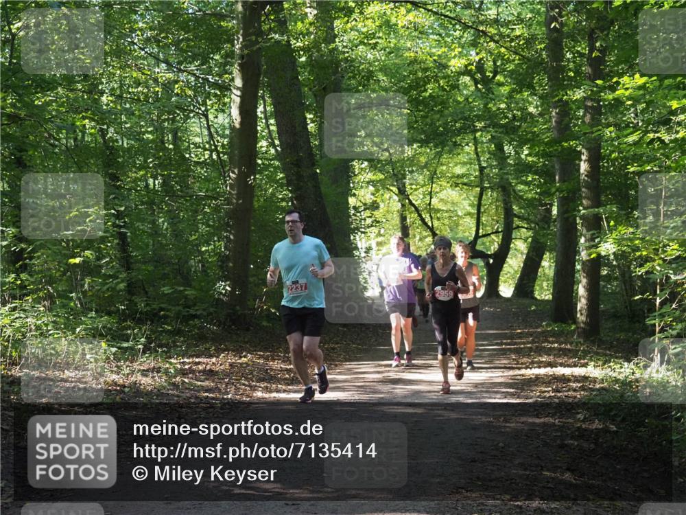 22.09.2024 - 32. Volkslauf durch das schöne Alstertal Miley Keyser http://msf.ph/oto/7135414 22.09.2024 10:47:37 Laufen 2237, 2959 meine-sportfotos.de