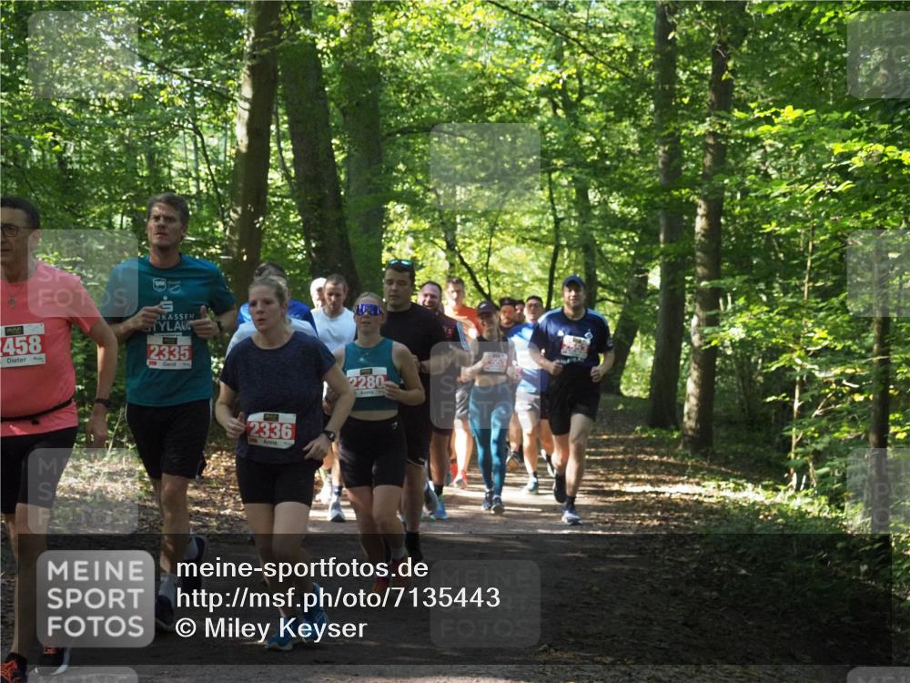 22.09.2024 - 32. Volkslauf durch das schöne Alstertal Miley Keyser http://msf.ph/oto/7135443 22.09.2024 10:47:29 Laufen 75, 2458, 2335, 2336, 2280, 551 meine-sportfotos.de