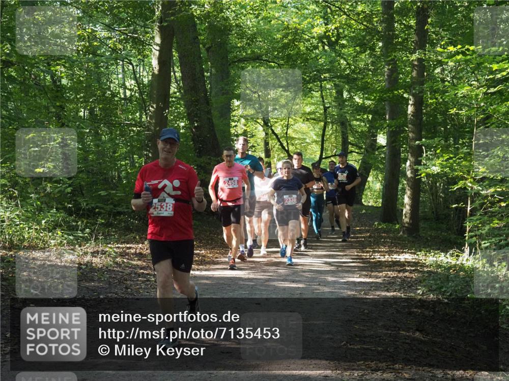 22.09.2024 - 32. Volkslauf durch das schöne Alstertal Miley Keyser http://msf.ph/oto/7135453 22.09.2024 10:47:27 Laufen 2538, 2458, 2336 meine-sportfotos.de