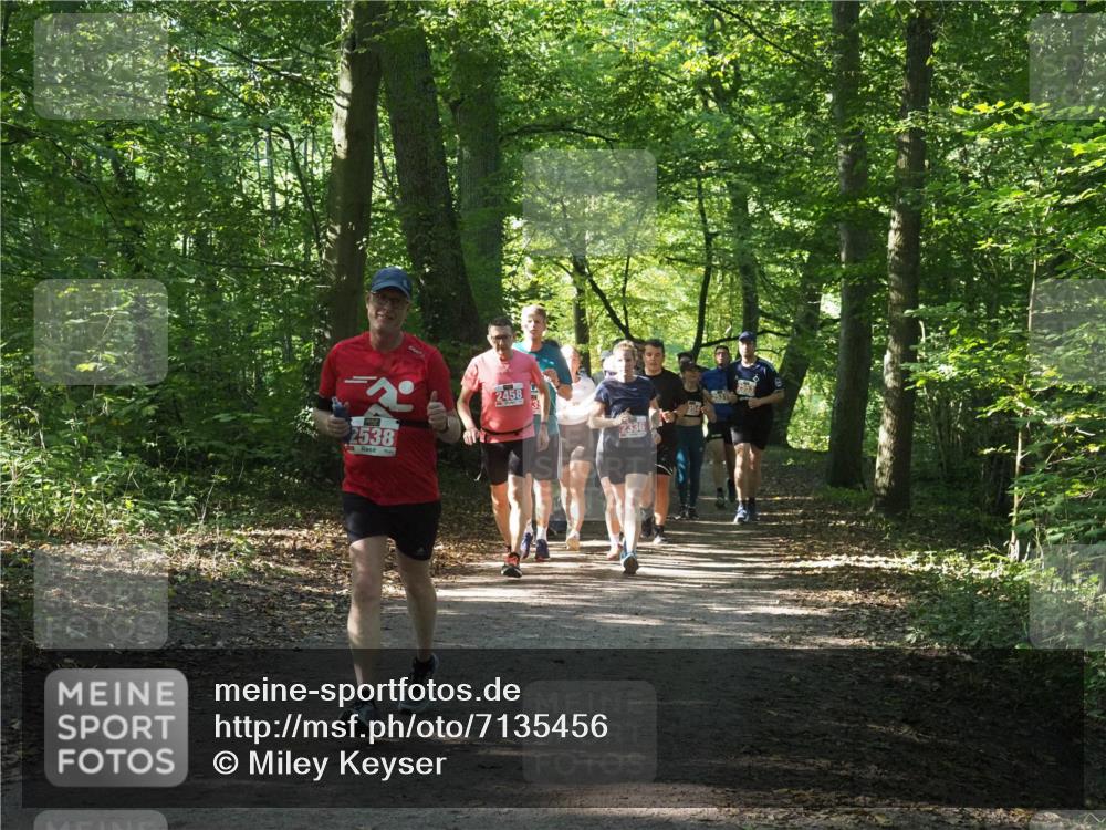 22.09.2024 - 32. Volkslauf durch das schöne Alstertal Miley Keyser http://msf.ph/oto/7135456 22.09.2024 10:47:26 Laufen 2538, 2458, 2336 meine-sportfotos.de