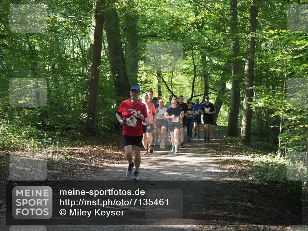 22.09.2024 - 32. Volkslauf durch das schöne Alstertal Miley Keyser http://msf.ph/oto/7135461 22.09.2024 10:47:26 Laufen 2538, 2336 meine-sportfotos.de