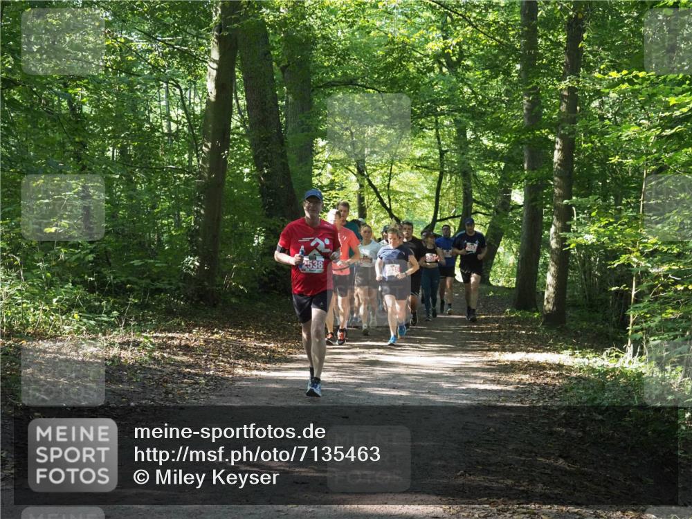 22.09.2024 - 32. Volkslauf durch das schöne Alstertal Miley Keyser http://msf.ph/oto/7135463 22.09.2024 10:47:25 Laufen 2538 meine-sportfotos.de