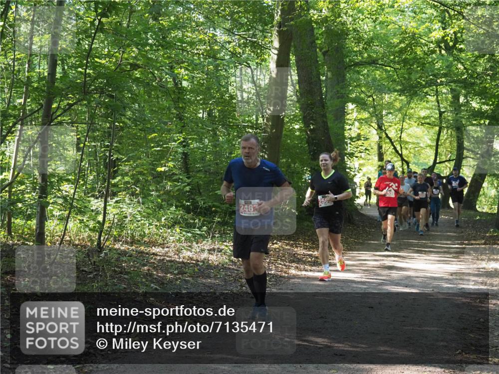 22.09.2024 - 32. Volkslauf durch das schöne Alstertal Miley Keyser http://msf.ph/oto/7135471 22.09.2024 10:47:22 Laufen 2462 meine-sportfotos.de