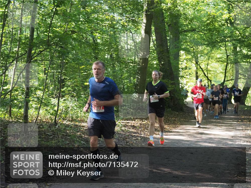 22.09.2024 - 32. Volkslauf durch das schöne Alstertal Miley Keyser http://msf.ph/oto/7135472 22.09.2024 10:47:23 Laufen 4407 meine-sportfotos.de