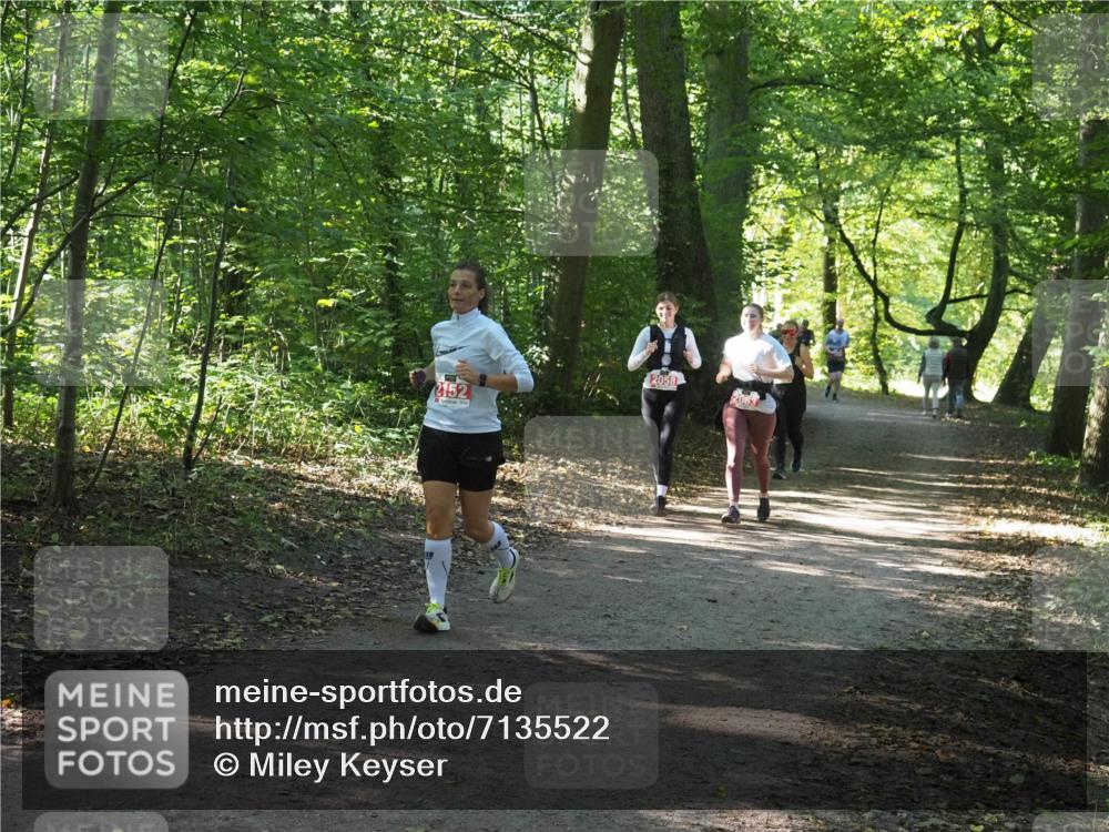 22.09.2024 - 32. Volkslauf durch das schöne Alstertal Miley Keyser http://msf.ph/oto/7135522 22.09.2024 10:46:58 Laufen 2058, 2152 meine-sportfotos.de