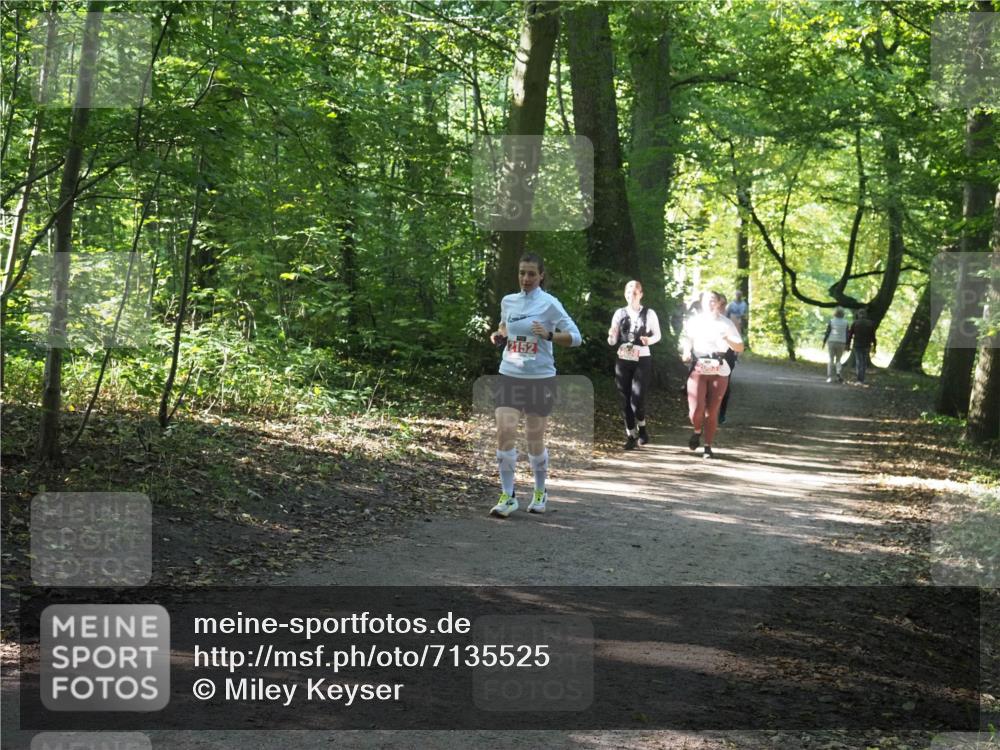 22.09.2024 - 32. Volkslauf durch das schöne Alstertal Miley Keyser http://msf.ph/oto/7135525 22.09.2024 10:46:57 Laufen 2152 meine-sportfotos.de