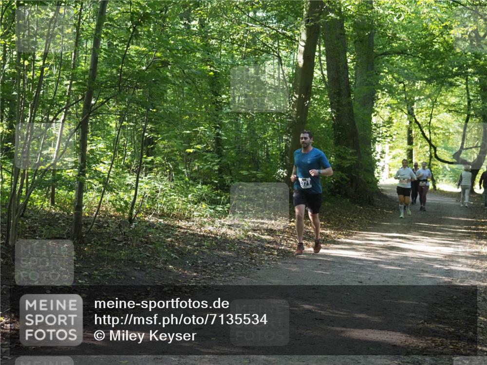 22.09.2024 - 32. Volkslauf durch das schöne Alstertal Miley Keyser http://msf.ph/oto/7135534 22.09.2024 10:46:53 Laufen  meine-sportfotos.de