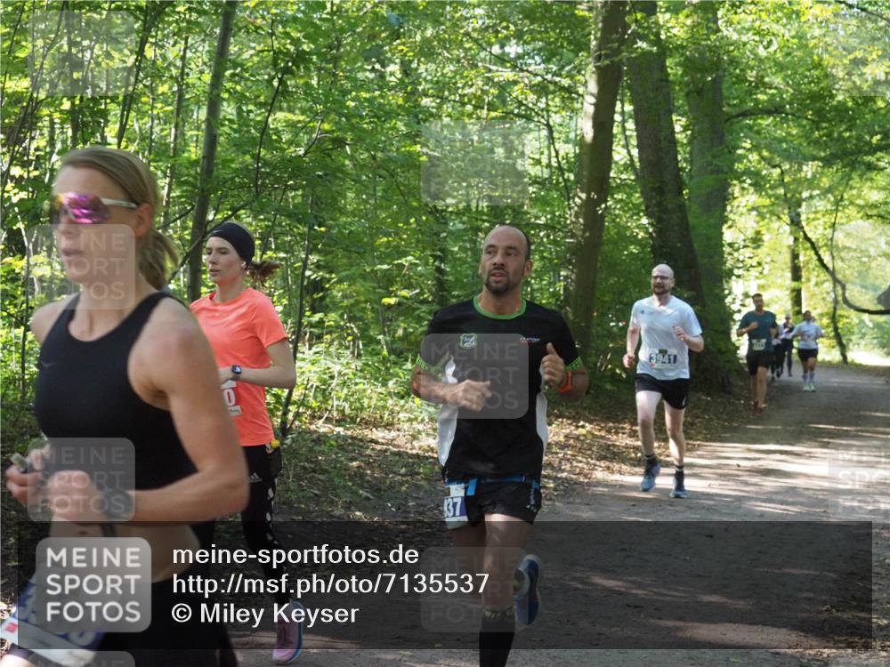 22.09.2024 - 32. Volkslauf durch das schöne Alstertal Miley Keyser http://msf.ph/oto/7135537 22.09.2024 10:46:50 Laufen 3938, 0, 137, 3941 meine-sportfotos.de