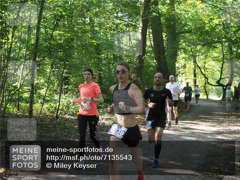 22.09.2024 - 32. Volkslauf durch das schöne Alstertal Miley Keyser http://msf.ph/oto/7135543 22.09.2024 10:46:49 Laufen 2260, 3938, 411 meine-sportfotos.de
