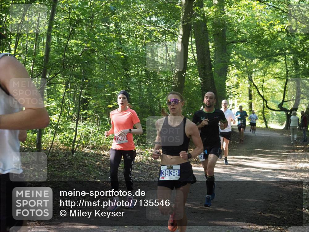 22.09.2024 - 32. Volkslauf durch das schöne Alstertal Miley Keyser http://msf.ph/oto/7135546 22.09.2024 10:46:49 Laufen 2260, 3938 meine-sportfotos.de