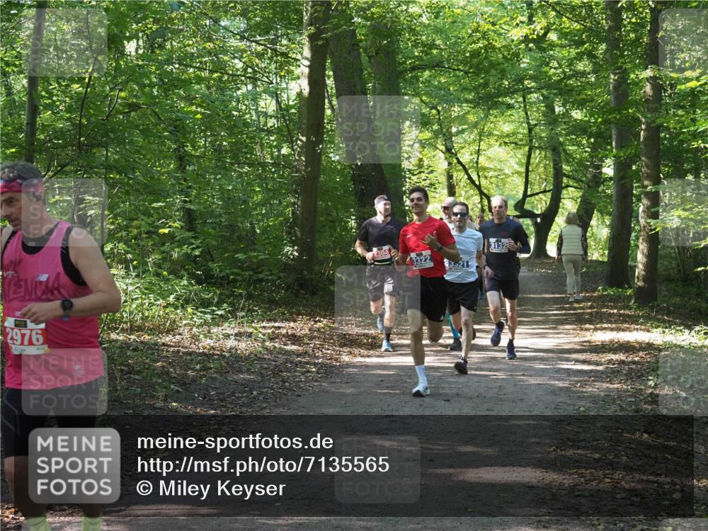 22.09.2024 - 32. Volkslauf durch das schöne Alstertal Miley Keyser http://msf.ph/oto/7135565 22.09.2024 10:46:45 Laufen 2976, 3322, 3521, 3132 meine-sportfotos.de