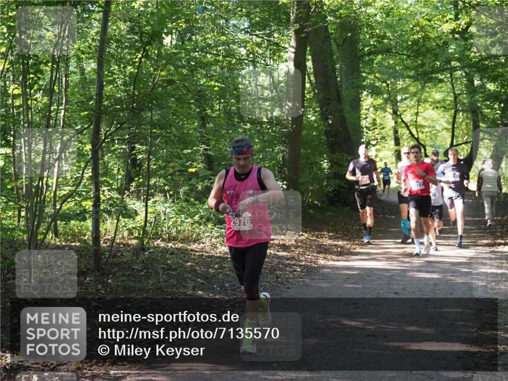 22.09.2024 - 32. Volkslauf durch das schöne Alstertal Miley Keyser http://msf.ph/oto/7135570 22.09.2024 10:46:44 Laufen 2976, 322 meine-sportfotos.de