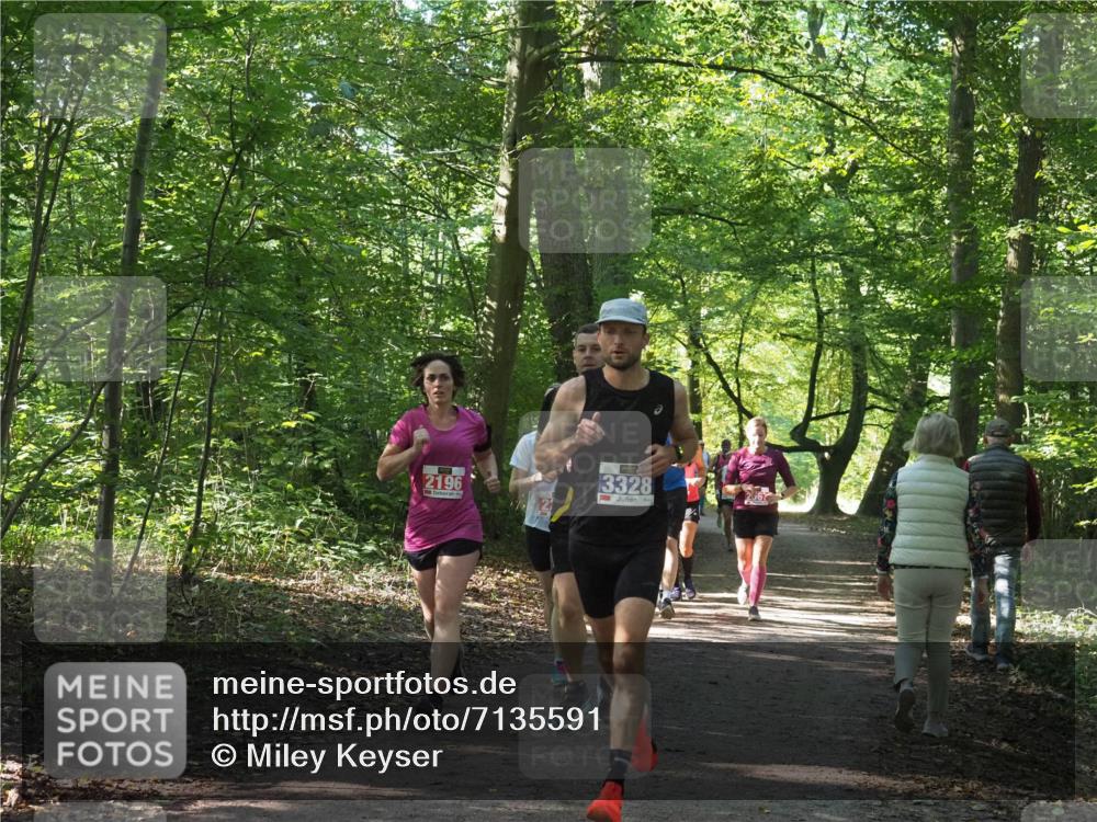 22.09.2024 - 32. Volkslauf durch das schöne Alstertal Miley Keyser http://msf.ph/oto/7135591 22.09.2024 10:46:34 Laufen 2196, 3328 meine-sportfotos.de