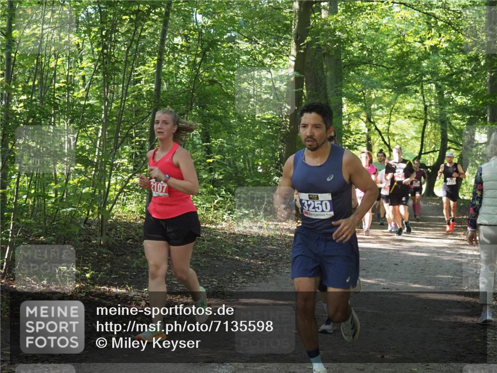 22.09.2024 - 32. Volkslauf durch das schöne Alstertal Miley Keyser http://msf.ph/oto/7135598 22.09.2024 10:46:31 Laufen 2107, 3250 meine-sportfotos.de