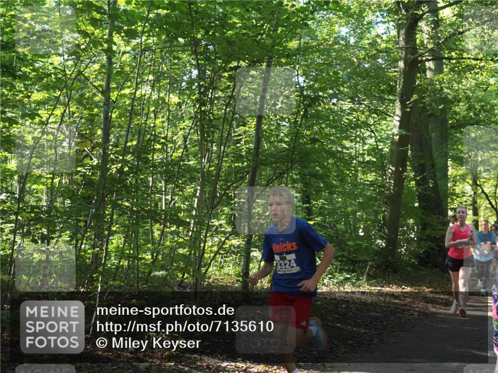 22.09.2024 - 32. Volkslauf durch das schöne Alstertal Miley Keyser http://msf.ph/oto/7135610 22.09.2024 10:46:27 Laufen 3324 meine-sportfotos.de