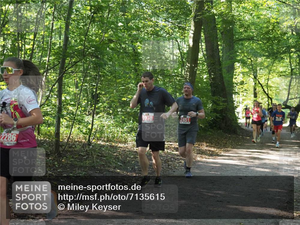 22.09.2024 - 32. Volkslauf durch das schöne Alstertal Miley Keyser http://msf.ph/oto/7135615 22.09.2024 10:46:23 Laufen 2286, 2038, 2451 meine-sportfotos.de