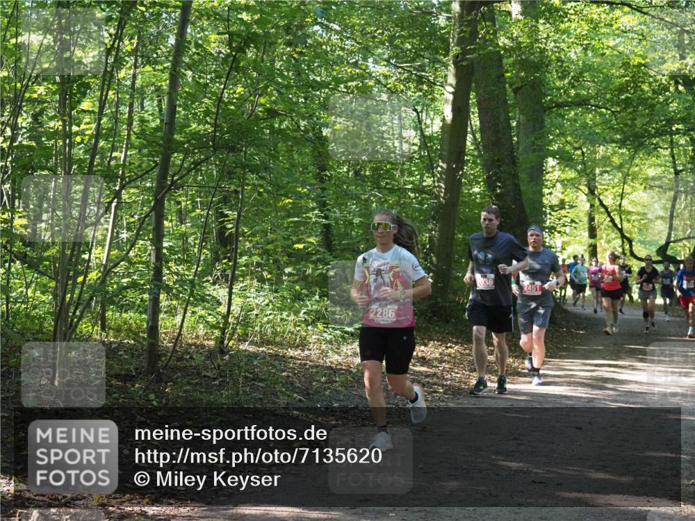 22.09.2024 - 32. Volkslauf durch das schöne Alstertal Miley Keyser http://msf.ph/oto/7135620 22.09.2024 10:46:22 Laufen 2286, 2038, 2451 meine-sportfotos.de