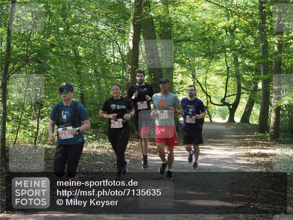 22.09.2024 - 32. Volkslauf durch das schöne Alstertal Miley Keyser http://msf.ph/oto/7135635 22.09.2024 10:46:16 Laufen 2364, 2289, 2550, 2349, 2081 meine-sportfotos.de