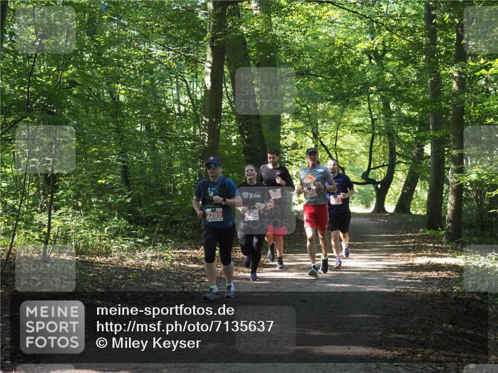 22.09.2024 - 32. Volkslauf durch das schöne Alstertal Miley Keyser http://msf.ph/oto/7135637 22.09.2024 10:46:15 Laufen 2289, 2550, 2349, 2081 meine-sportfotos.de