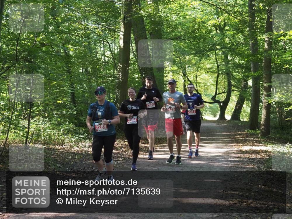 22.09.2024 - 32. Volkslauf durch das schöne Alstertal Miley Keyser http://msf.ph/oto/7135639 22.09.2024 10:46:15 Laufen 2550, 2349, 2081, 2364, 2289 meine-sportfotos.de