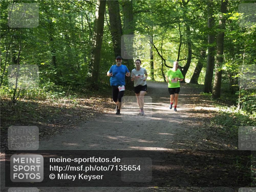 22.09.2024 - 32. Volkslauf durch das schöne Alstertal Miley Keyser http://msf.ph/oto/7135654 22.09.2024 10:46:00 Laufen 2159, 2160, 2235 meine-sportfotos.de