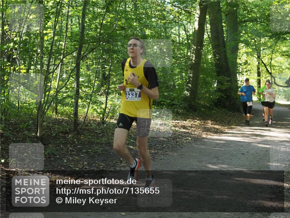 22.09.2024 - 32. Volkslauf durch das schöne Alstertal Miley Keyser http://msf.ph/oto/7135655 22.09.2024 10:45:57 Laufen 3337 meine-sportfotos.de