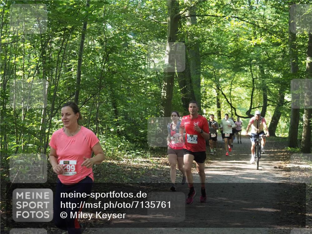 22.09.2024 - 32. Volkslauf durch das schöne Alstertal Miley Keyser http://msf.ph/oto/7135761 22.09.2024 10:45:12 Laufen 99, 3942 meine-sportfotos.de