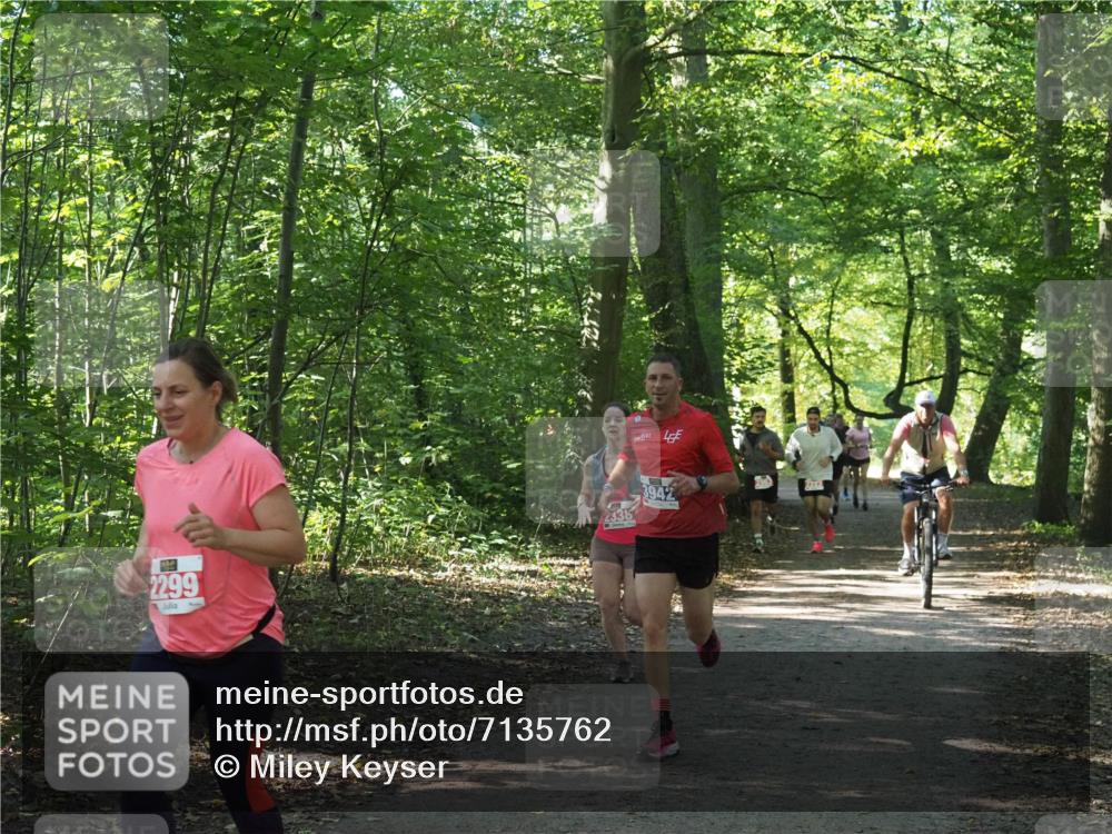 22.09.2024 - 32. Volkslauf durch das schöne Alstertal Miley Keyser http://msf.ph/oto/7135762 22.09.2024 10:45:12 Laufen 2299, 2338, 3942 meine-sportfotos.de
