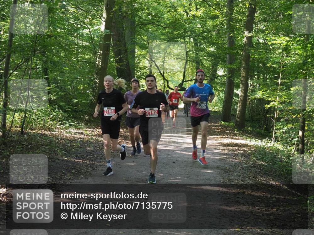 22.09.2024 - 32. Volkslauf durch das schöne Alstertal Miley Keyser http://msf.ph/oto/7135775 22.09.2024 10:45:09 Laufen 2191, 2192, 3942, 3302 meine-sportfotos.de