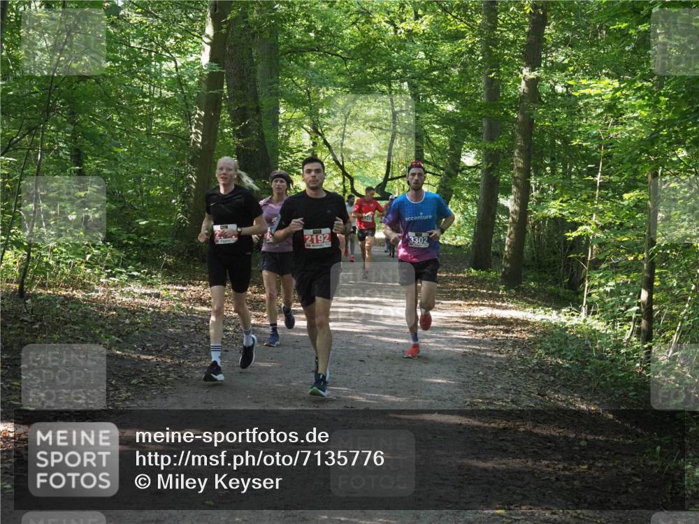 22.09.2024 - 32. Volkslauf durch das schöne Alstertal Miley Keyser http://msf.ph/oto/7135776 22.09.2024 10:45:08 Laufen 2192, 3302 meine-sportfotos.de