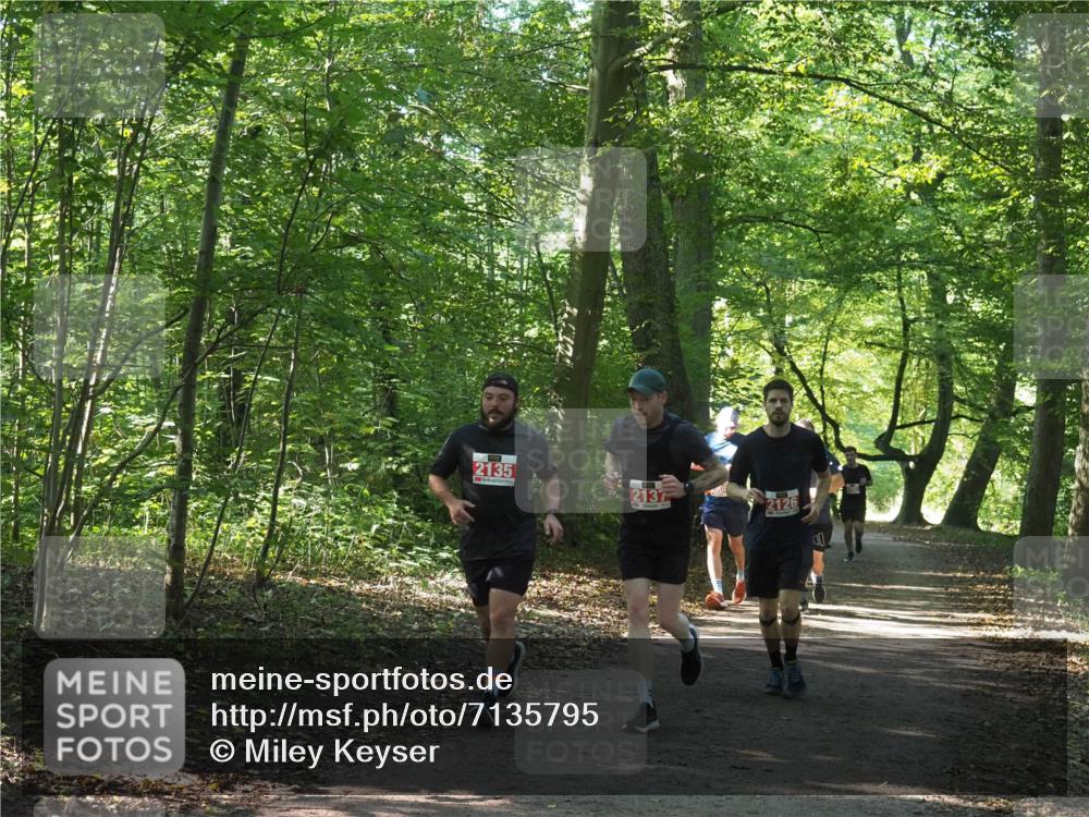 22.09.2024 - 32. Volkslauf durch das schöne Alstertal Miley Keyser http://msf.ph/oto/7135795 22.09.2024 10:45:01 Laufen 2135, 2137, 2126 meine-sportfotos.de