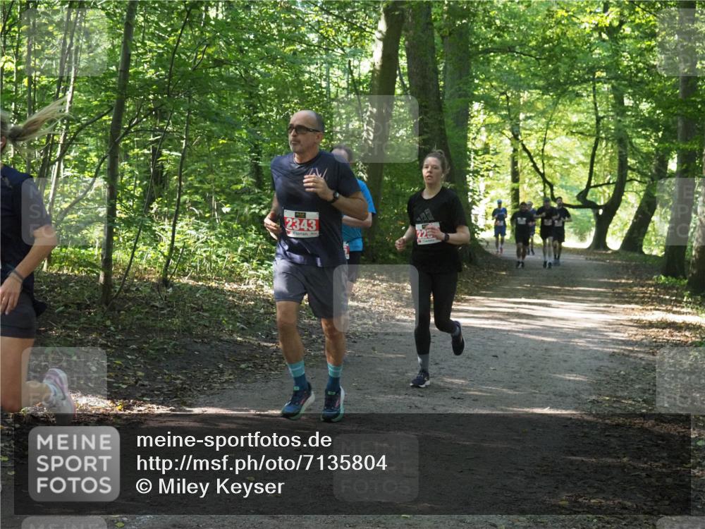 22.09.2024 - 32. Volkslauf durch das schöne Alstertal Miley Keyser http://msf.ph/oto/7135804 22.09.2024 10:44:53 Laufen 2343, 225 meine-sportfotos.de