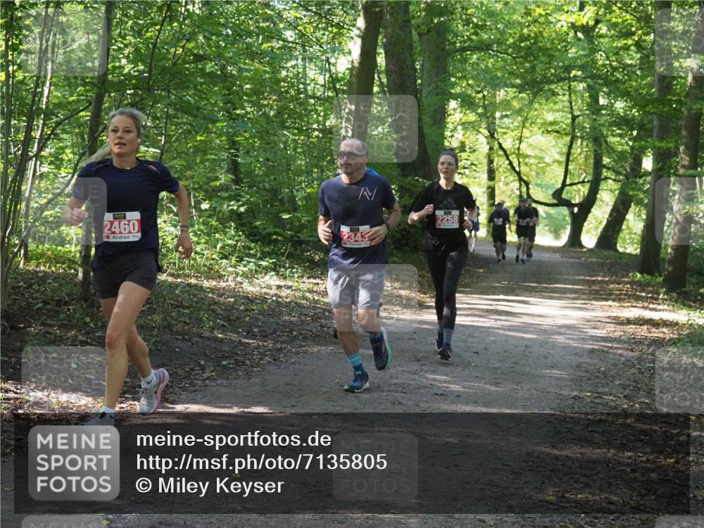 22.09.2024 - 32. Volkslauf durch das schöne Alstertal Miley Keyser http://msf.ph/oto/7135805 22.09.2024 10:44:52 Laufen 2460, 2343, 2258 meine-sportfotos.de